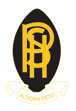 School logo 6